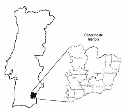 Figura 1 – Mapa do Concelho de Mértola 