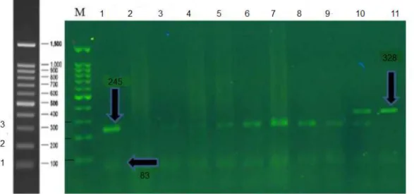 Table 14: comparing frequency ofpolymorphism rs5030737 of MBL gene in statistical population