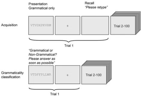 Fig. 2. In Experiment 1, we used a bounded crossed (context-sensitive) grammar.