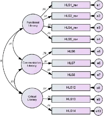 Figure 1. Confirmatory factor analysis 