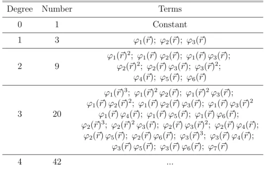 Table 5.3: Invariant polynomial terms constructed from the seven basis terms.