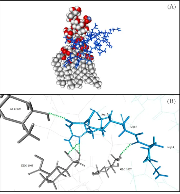 Figure 6 Graphical representation of LPS of E. coli and TP1 interaction. (A) Superimposed TP1 was coloured blue while the LPS molecule was coloured grey