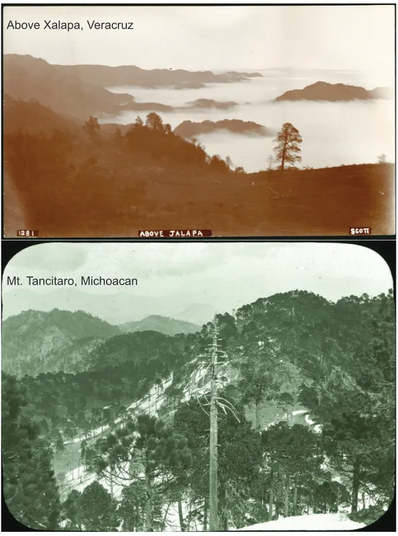 Figure 4 Photos of landscapes of two of the hotspots identified in this study from the Nelson- Nelson-Goldman expeditions across Mexico in the late nineteenth and early twentieth centuries: above Xalapa, Veracruz (SIA2014-03203), Mt
