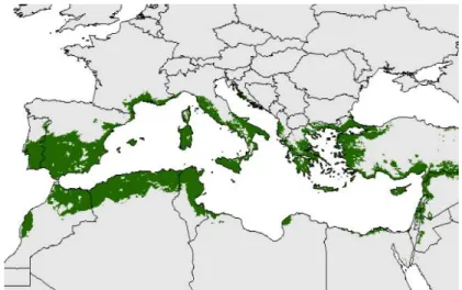 Fig. 1. Ecological niche of the potential olive tree distribution [22, p. 21].  