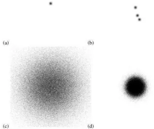 Fig. 1. Sample test images consisting of (a) a single, solitary point-object,  (b) a configuration of three single point-objects that is a known problematic  configuration, (c) and (d) Randomly generated test images by sampling from a 