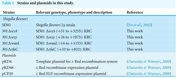 Table 1 Strains and plasmids in this study.