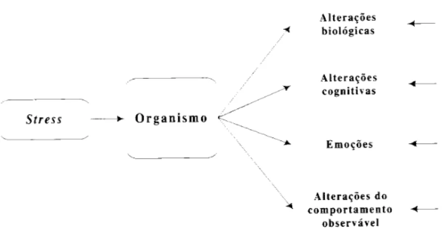 Figura 5: O processo durante a situação de stresse (Retirado de Vaz Serra, 1999: 150)