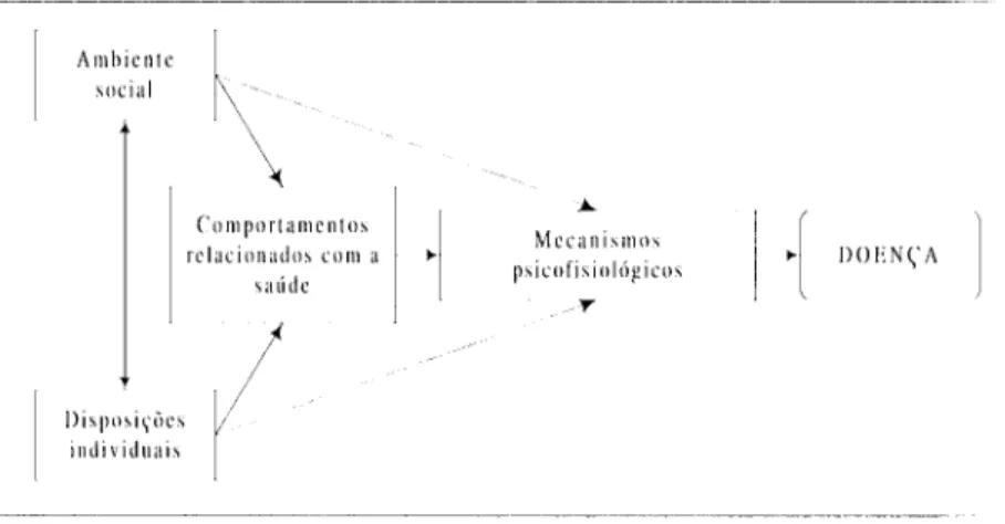Figura 6: Stresse e doença (Retirado de Vaz Serra ,1999: 56).