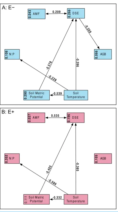 Figure 4 Structural equation model results. Overall SEMs, with different models for those plants without Epichlo¨e endophytes (A: E − , blue), and those with Epichlo¨e endophytes (B: E + , red)