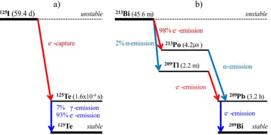 Figure 1. Radioactive decay schemes of the  125 I (panel a) and the  213 Bi (panel b) radionuclides