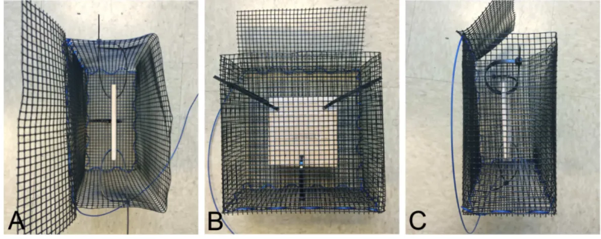 Figure 1 Multiple views of an exclusion cage. Photographs of an exclusion cage with a suspended settle- settle-ment tile viewed from the top (A), front (B), and side (C).