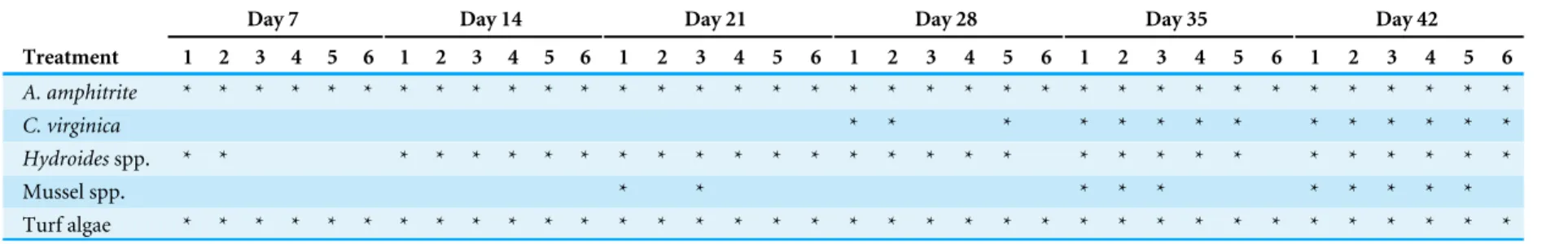 Table 1 Species presence across treatments and day. Species presence (indicated with ‘‘*’’) as a function of treatment and day of study