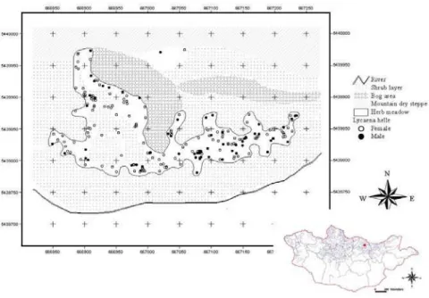 Figure 1. Heterogeneous natural habitats in West Khentii.