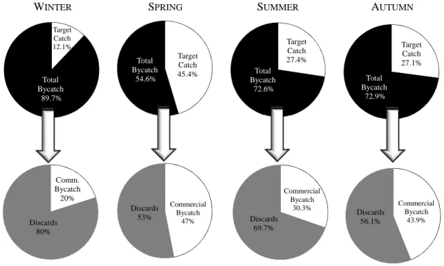Figure 2.4 - Overall catch composition of the fish trawls according to season. 
