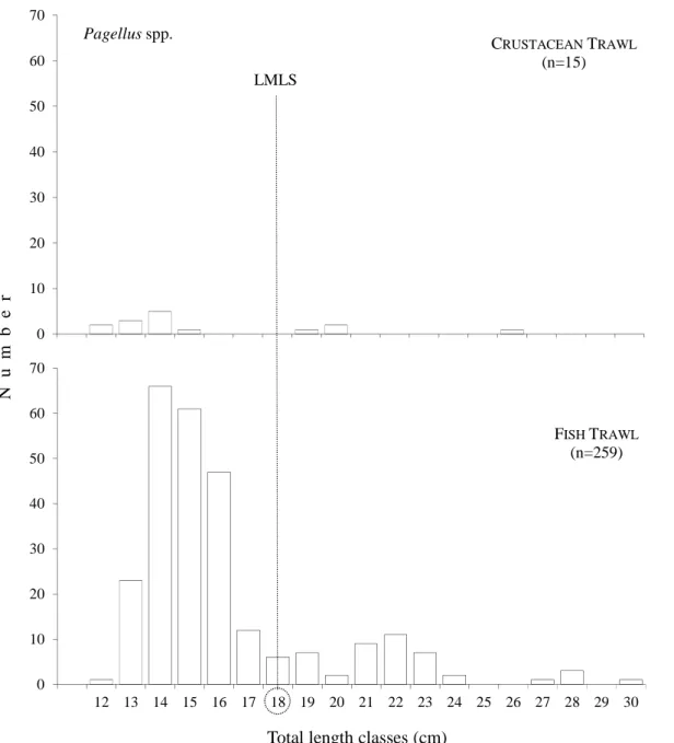 Figure  2.11  –  Length  frequency  distribution  of  the  fish  trawl  target  species  Pagellus  spp
