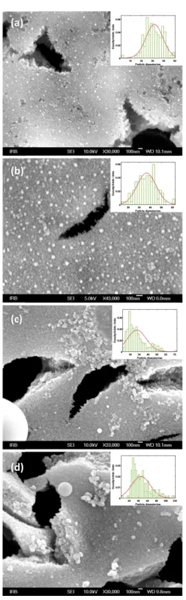 Figure 3. SEM images of pSi samples ablated with silver: (a)  30000 pulses, sample #1; (b) 30000 pulses, sample #2; (c)  45000 pulses, sample #2; and (d) 45000 pulses, sample #3, and their corresponding particle size distributions