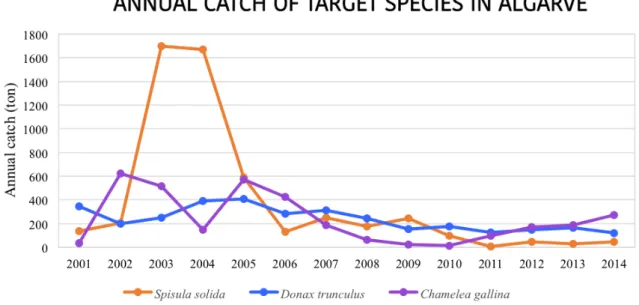 Figure  1.6.  Annual  catches  (2001  to  2014)  for  Spisula  solida,  Donax  trunculus  and  Chamelea gallina populations of the Algarve