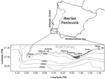 Fig. 1. – algarve region, showing the main fishing ports in the re- re-gion.