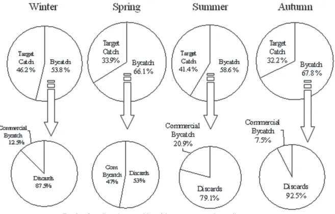 Fig. 3. – overall catch composition of the crustacean trawl according to season.