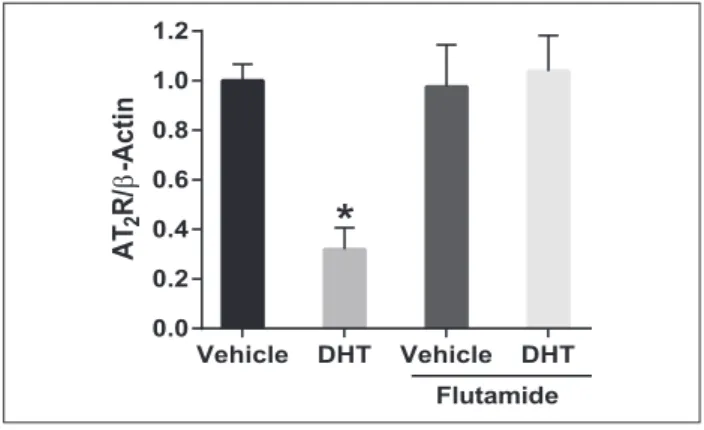 Figure 5.  Dihydrotestosterone (DHT) mediates  downregulation of angiotensin II type-2 receptor (AT 2 R)  transcription through ERK-mediated pathways