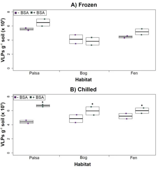 Figure 4 The impact of BSA on virus concentration by Amicon filter. Deep samples, stored frozen (A) or chilled (B), were used for this comparison and post concentration yields were counted by  epifluores-cence microscopy