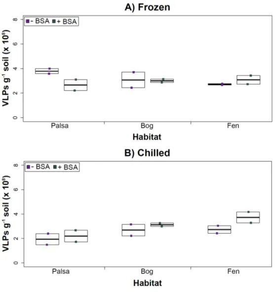 Figure 5 Comparison of samples with or without BSA after CsCl gradient purification. Counts were taken of deep samples that were CsCl gradient purified after Amicon filter concentration (with and  with-out BSA) for samples from each habitat that were (A) f