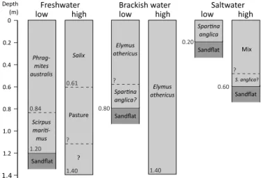Figure 2. Evolution of marsh surface elevation and mean high water level (relative to Belgian ordnance level, m T.A.W.) at the sampled locations (based on Temmerman et al., 2004).