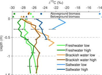 Figure 6. Depth profiles of δ 13 C, together with the δ 13 C signal of above-ground (circles) and below-ground (triangles) biomass  (val-ues are provided in Table S2)