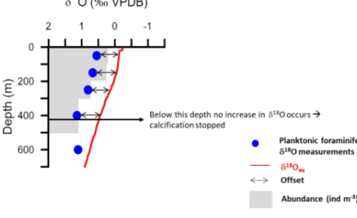 Figure 8. Example of an equilibrium calcite δ 18 O profile based on δ 18 O seawater estimated from the regional salinity regression (Fig