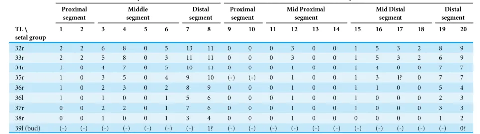 Table 2 (continued) Exopod Endopod Proximal segment Middle segment Distal segment Proximalsegment Mid Proximalsegment Mid Distalsegment Distal segment TL \ setal group 1 2 3 4 5 6 7 8 9 10 11 12 13 14 15 16 17 18 19 20 32r 2 2 6 8 0 5 13 11 0 0 0 3 0 0 1 5