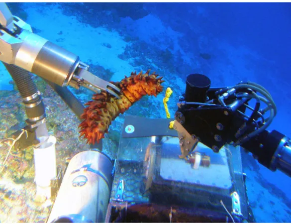 Figure 4 Collecting samples using the Pisces submersible manipulator arm. Photo: HURL.
