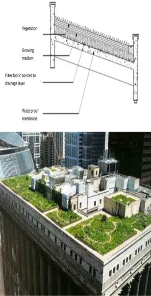 Figure 1- A general view of a green roof [4] 