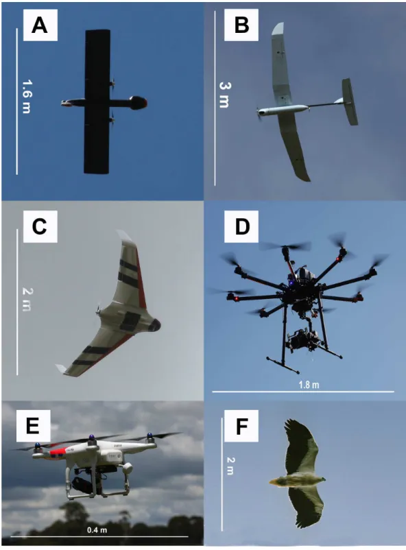 Figure 3 Examples of UAV models with different wing profiles. (A) Avian-P fixed wing UAV, (B) Sky- Sky-lark II fixed wing UAV, (C) Topodrone-100 fixed wing UAV, resembles bird of prey, (D) Kraken-130 multirotor type UAV, (E) Phantom multirotor type UAV, (F