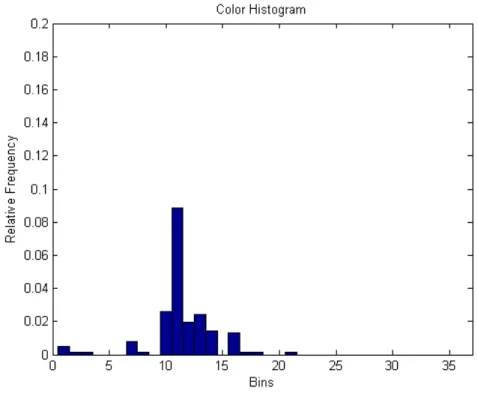 Figure 4.8 represents an example of a color histogram produced by color radius = 1.3cm and figure 4.9 represents the respective ring histogram using color radius = 3.6cm