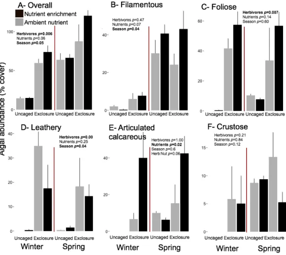 Figure 5 Abundance of macroalgal form-functional group on established communities by treatment in winter and spring