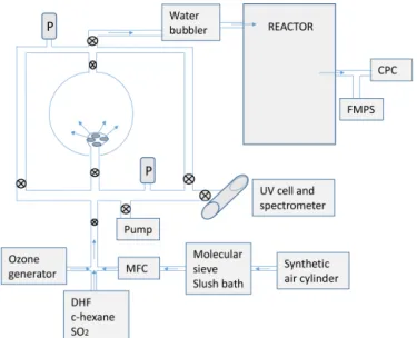 Figure 1. Schematic set-up of the experimental system.