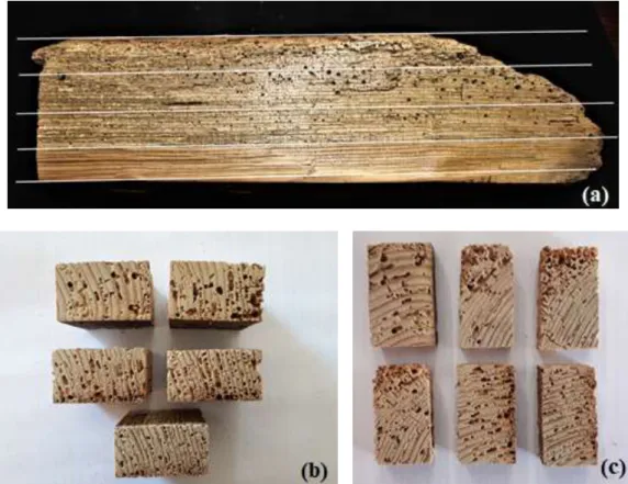 Fig. 1 Sampling: (a) timber beam indicating segments; (b) some of the 17 samples resulting  from the first cut of the beam (samples approximately 40 × 20 × 40 mm 3 ); (c) some of the 17 