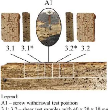 Fig. 2 Schematic representation for the screw withdrawal tests.  