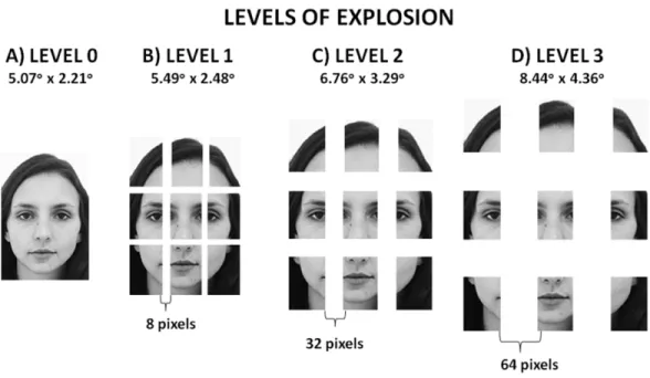 Figure 1 Example of Stimuli preparation. Example of a stimulus at each level of explosion created for illustrative purpose (these images are not included in the database used in the study): (A) level 0 (the face is shown in its entirety); (B) level 1 (the 