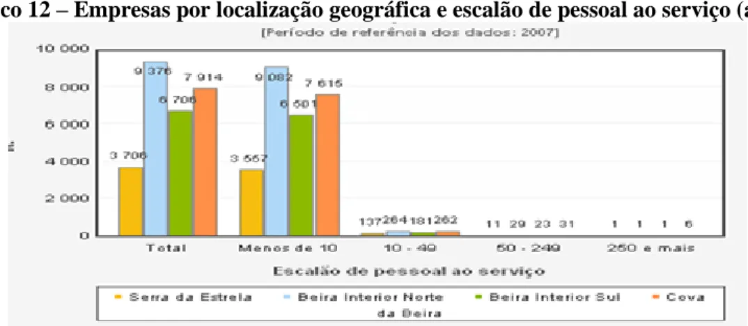 Gráfico 12 – Empresas por localização geográfica e escalão de pessoal ao serviço (anual) 