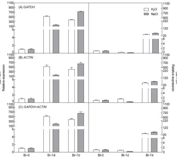 Figure 5 Relative quantification of PPDK expression using the selected reference gene(s)
