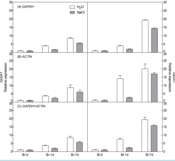 Figure 6 Relative quantification of SAT expression using the selected reference gene(s)