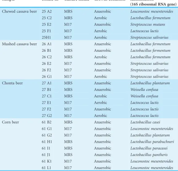 Table 2 Bacteria isolated from the four beer samples. All the 25 strains were obtained by bacterial cultures in MRS and M17 and 16 S ribosomal gene from colonies was amplified and sequenced.