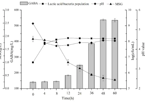Figure 5 Changes in LAB counts, pH value, GABA, and MSG concentrations during fermentation with L