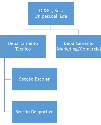 Figura 9.1 – Estrutura e Organização da empresa  