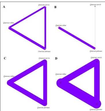Fig. 3. Unipartite versions of the networks (A  –  ECM network, B  – galling insects’ network,  C – pathogenic network, D – complex network) 