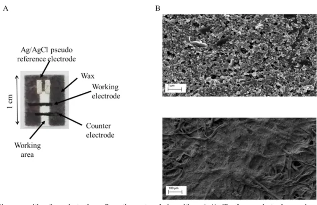 Fig. 1    Biosensor with a three-electrode configuration system design with an Ag/AgCl reference electrode, a carbon counter  electrode and a working electrode based in carbon ink (A)