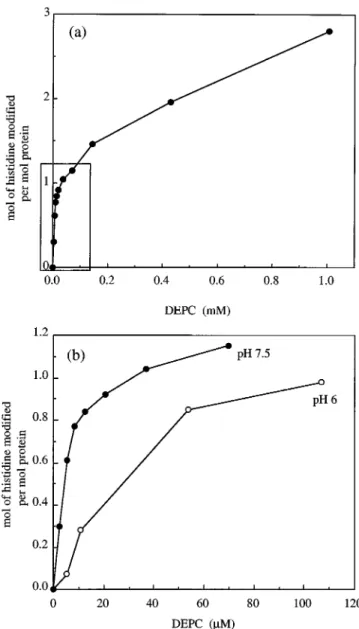 Fig. 2a shows the extent of modification of P. denitrificans CCP as DEPC concentration was raised
