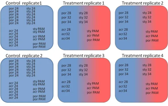 Figure 1 Experimental design of the experiment. Two control aquaria and four experimental aquaria: