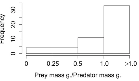 Figure 3 Frequency of ratios between Lagomorph weights and Predator weigths. Number of cases (fre- (fre-quency) that the ratio between the lagomorphs weight and the predator weights less than 0.25, between 0.25 and 0.5, 0.5–1 or more than 1.